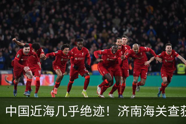 中国近海几乎绝迹！济南海关查获17只手镯，竟是由极危"国宝"制成