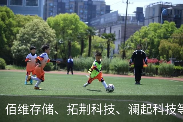 佰维存储、拓荆科技、澜起科技等集体宣布实施回购计划
