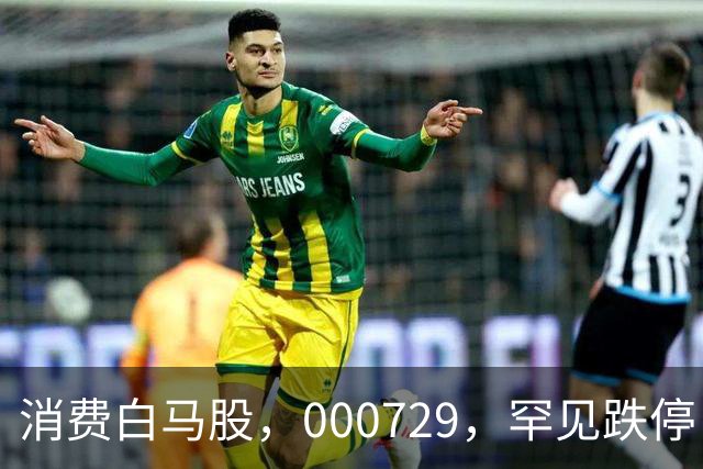 消费白马股，000729，罕见跌停！