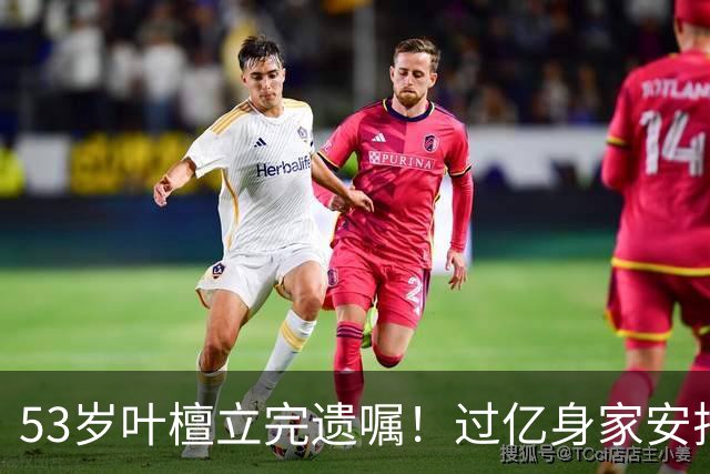 53岁叶檀立完遗嘱！过亿身家安排妥了，最难一栏却空着！