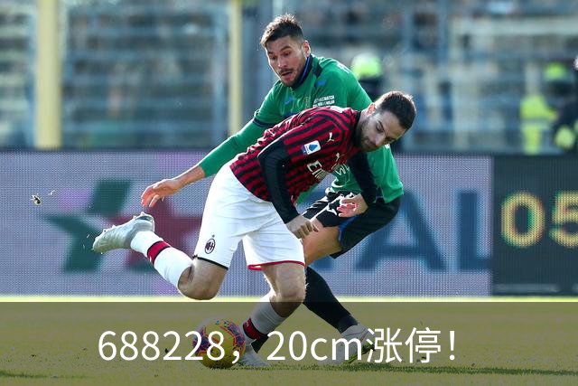 688228，20cm涨停！
